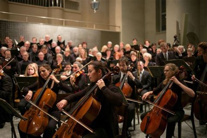Are there left-handed violinists in orchestras?