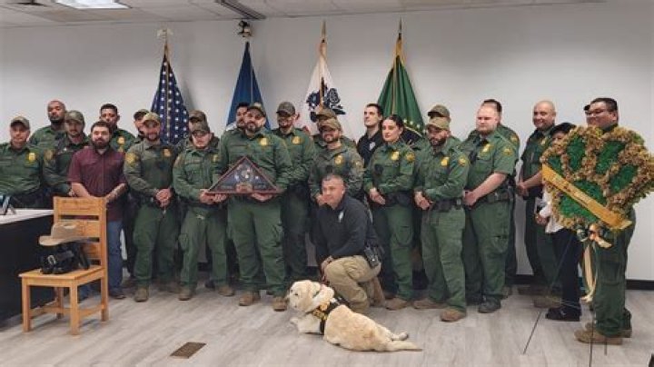 Can you be border patrol with a felony?