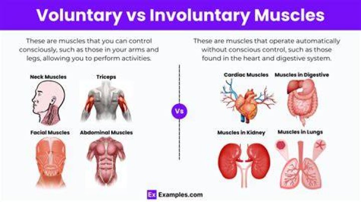 Can you have a voluntary C-section?