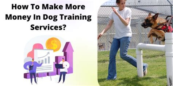 Do dog trainers make money?