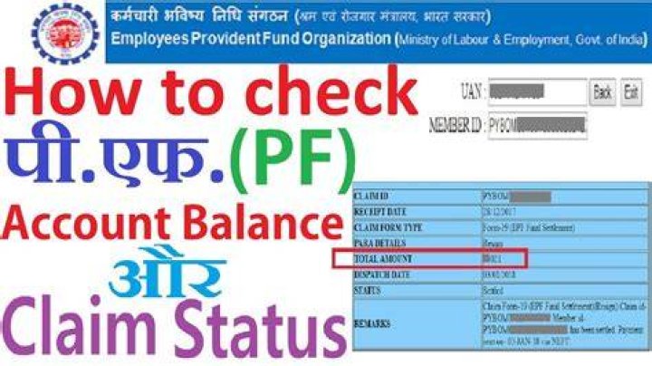 How can I check my PF account status?