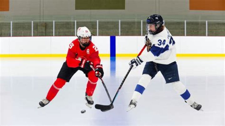 How do you get ejected from a hockey game?