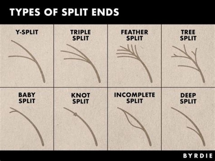How do you split tips between bartenders?