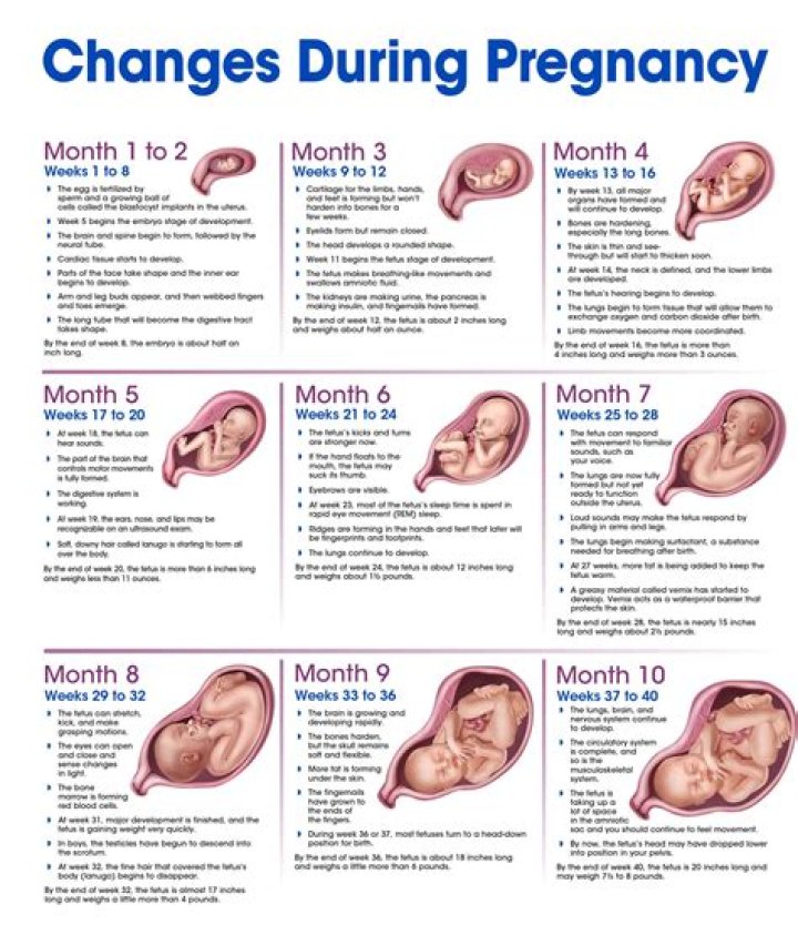 How long are Obgyn shifts?