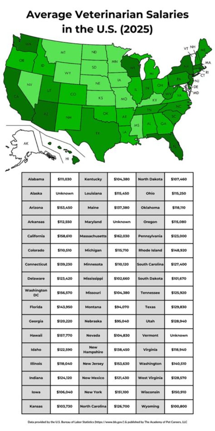 How much do beginner veterinarians make?