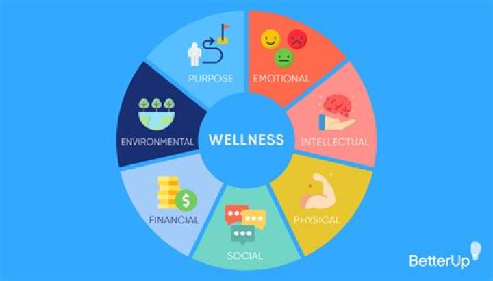 How much do wellness practitioners make?