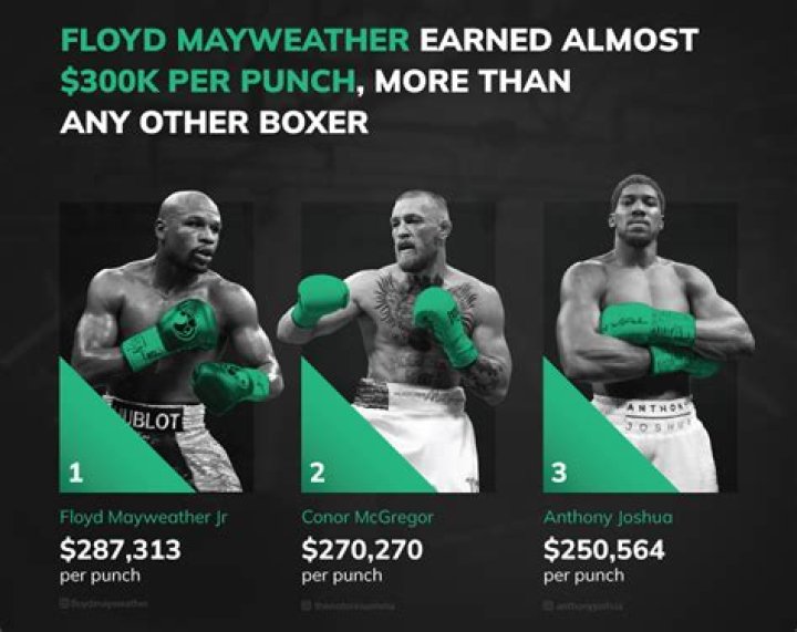 How much does a boxer earn per fight?