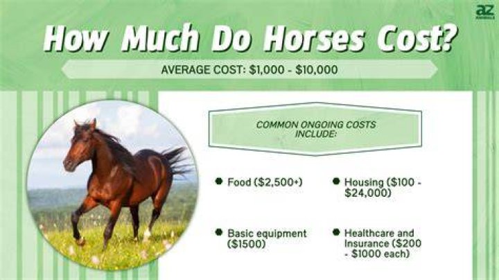 How much does a co make in PA?