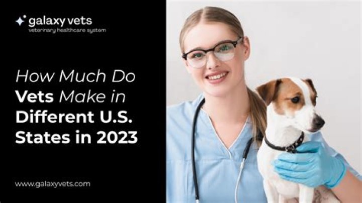 How much does a vet make every hour?
