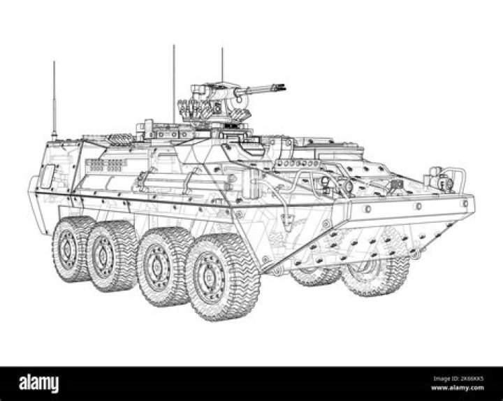 Is vector a carrier?