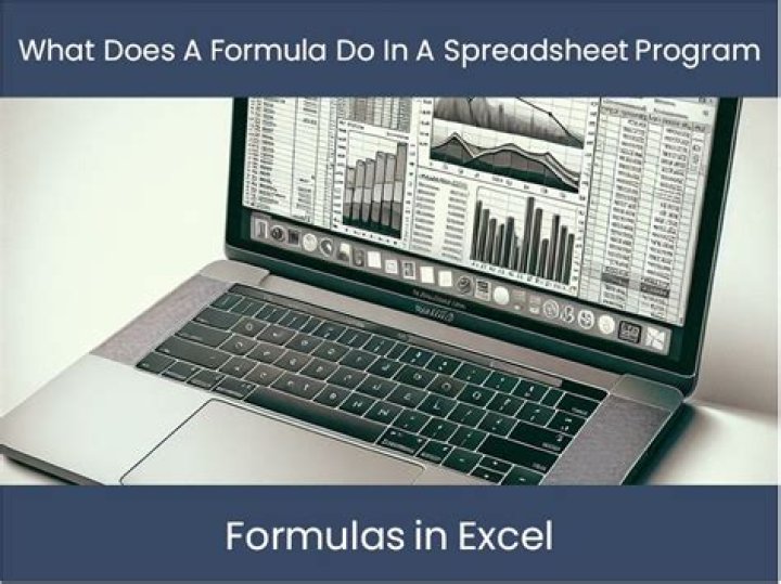 What does a formula do in a spreadsheet program apex?