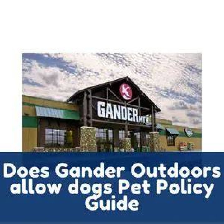 What does Gander Outdoors pay?