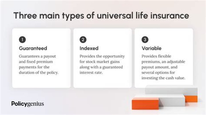 What is a universal life insurance policy best described as?