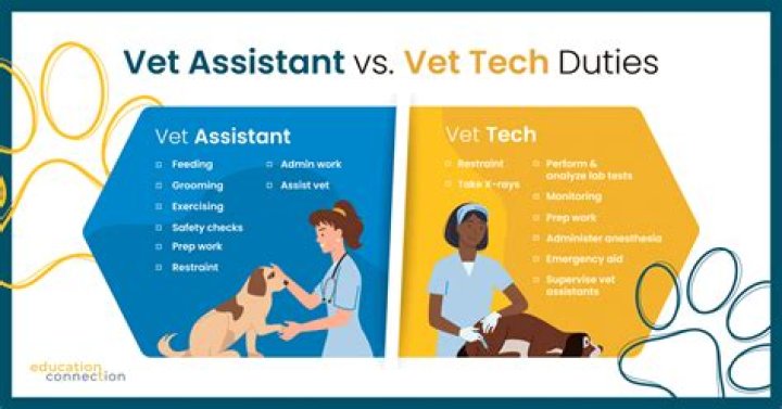 What is better vet tech or veterinarian?