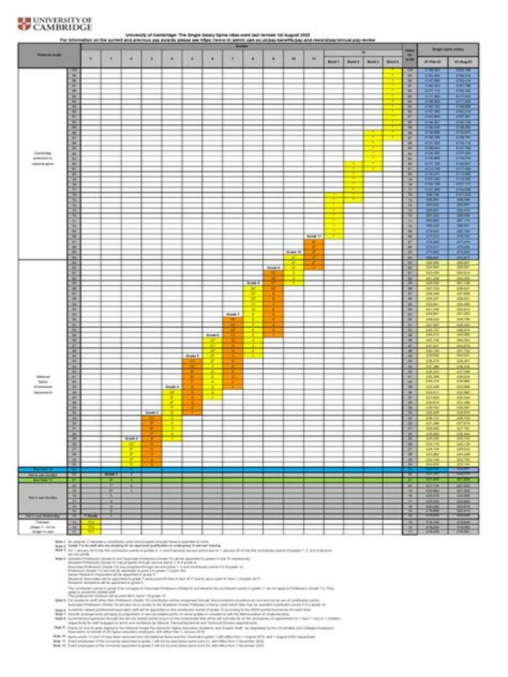 What is single spine salary?