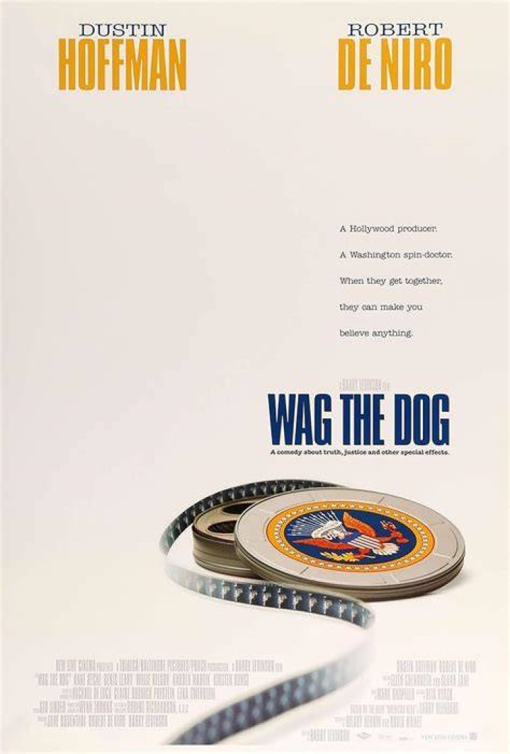 What is the message of wag the dog?
