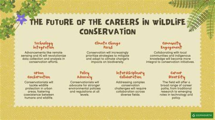 What qualifications do I need to be a conservationist?