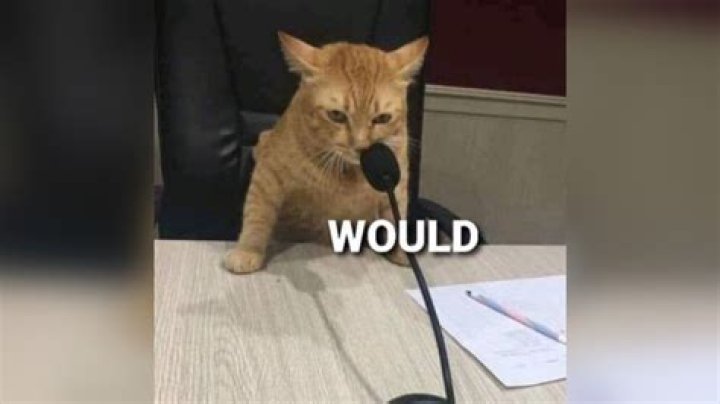 What would you do if not MBA?
