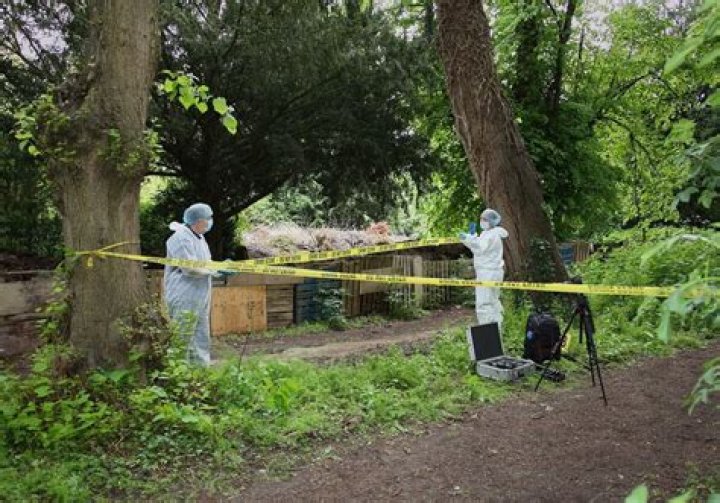 Where do CSI usually work?