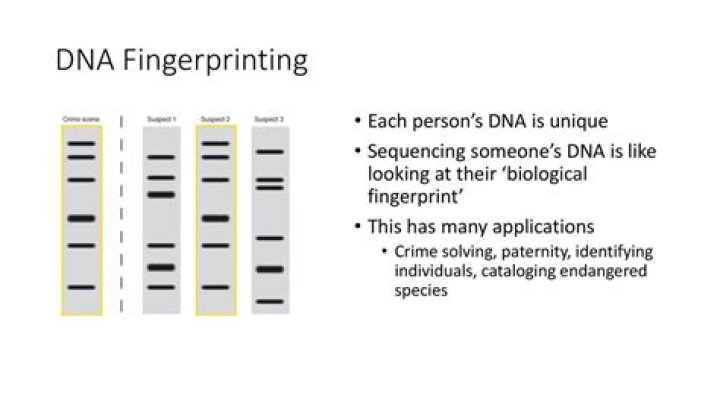 Which source of Codice contains DNA profiles from unsolved crime scene evidence?