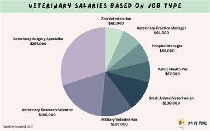 Who makes more money a vet or doctor?